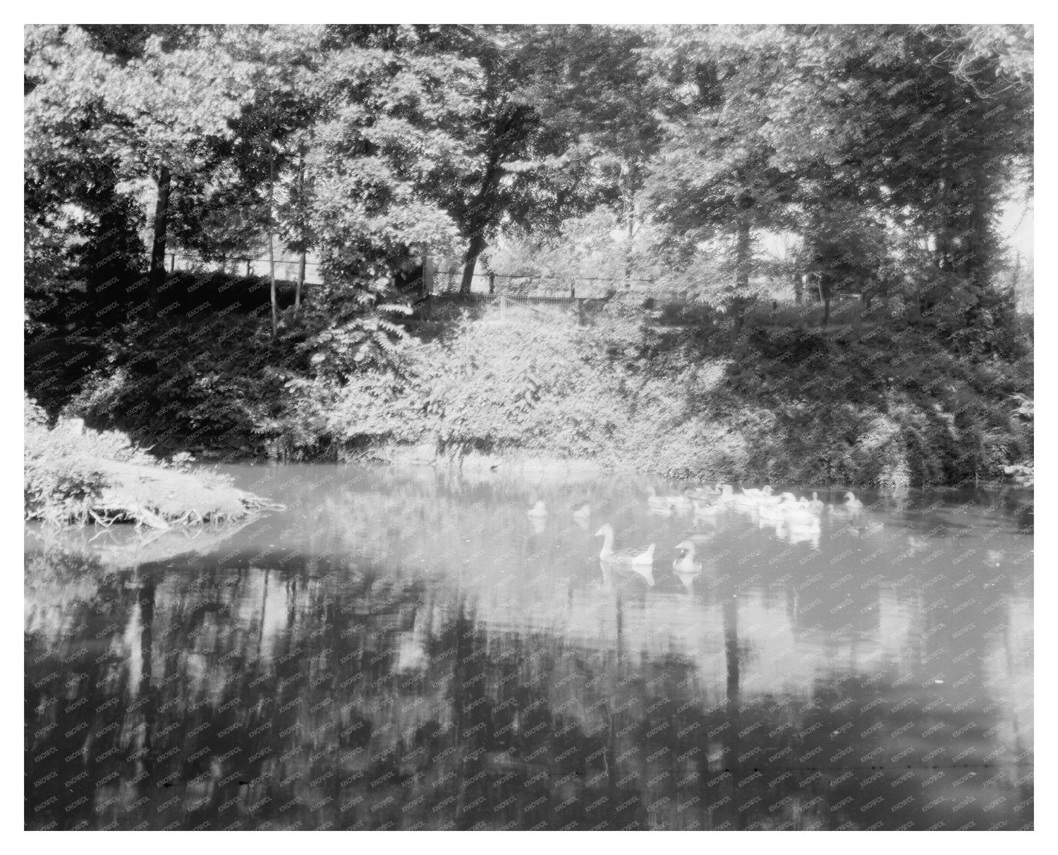 Chatham Estate, Stafford County VA, Early 1900s Photo