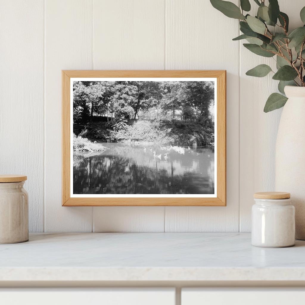 Chatham Estate, Stafford County VA, Early 1900s Photo