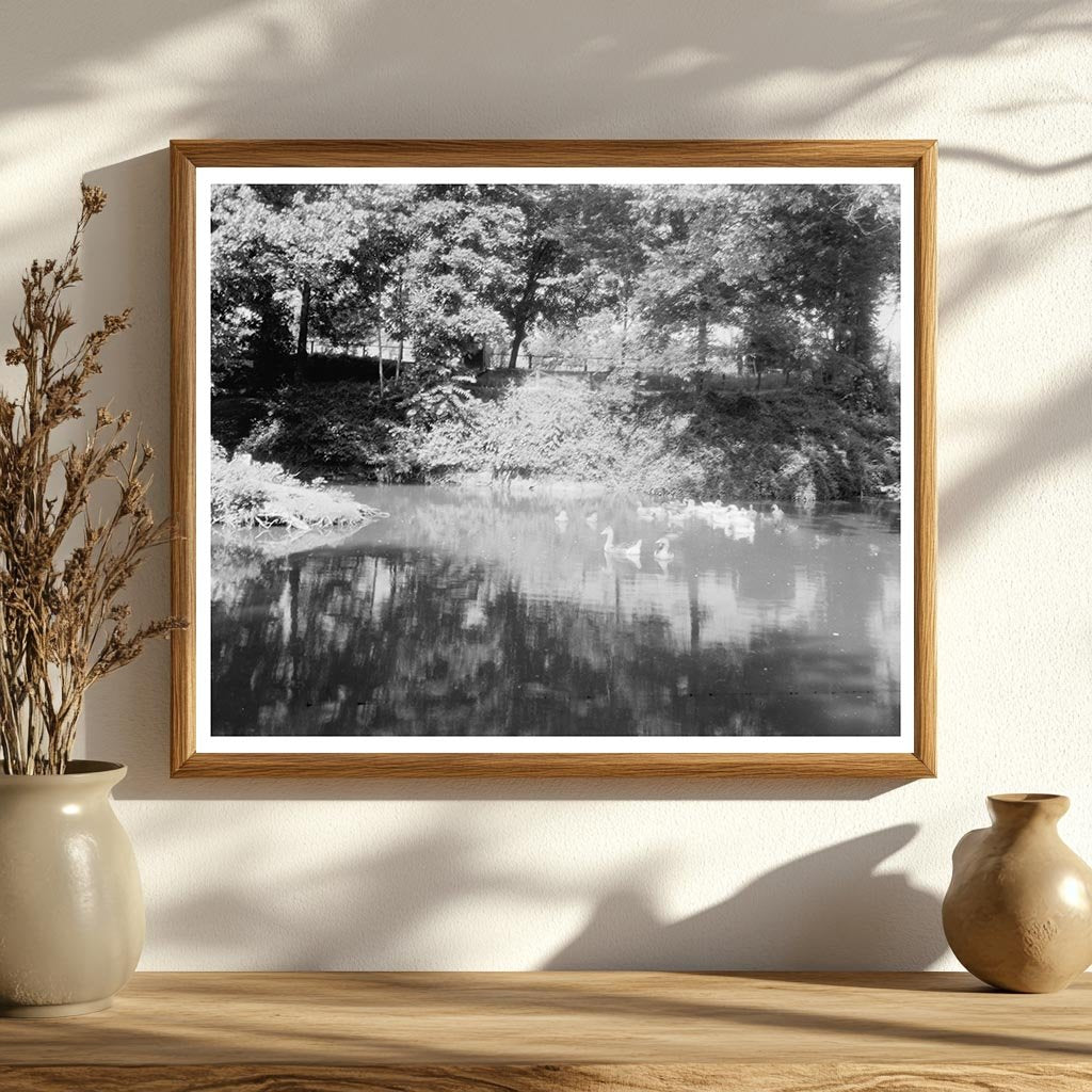 Chatham Estate, Stafford County VA, Early 1900s Photo