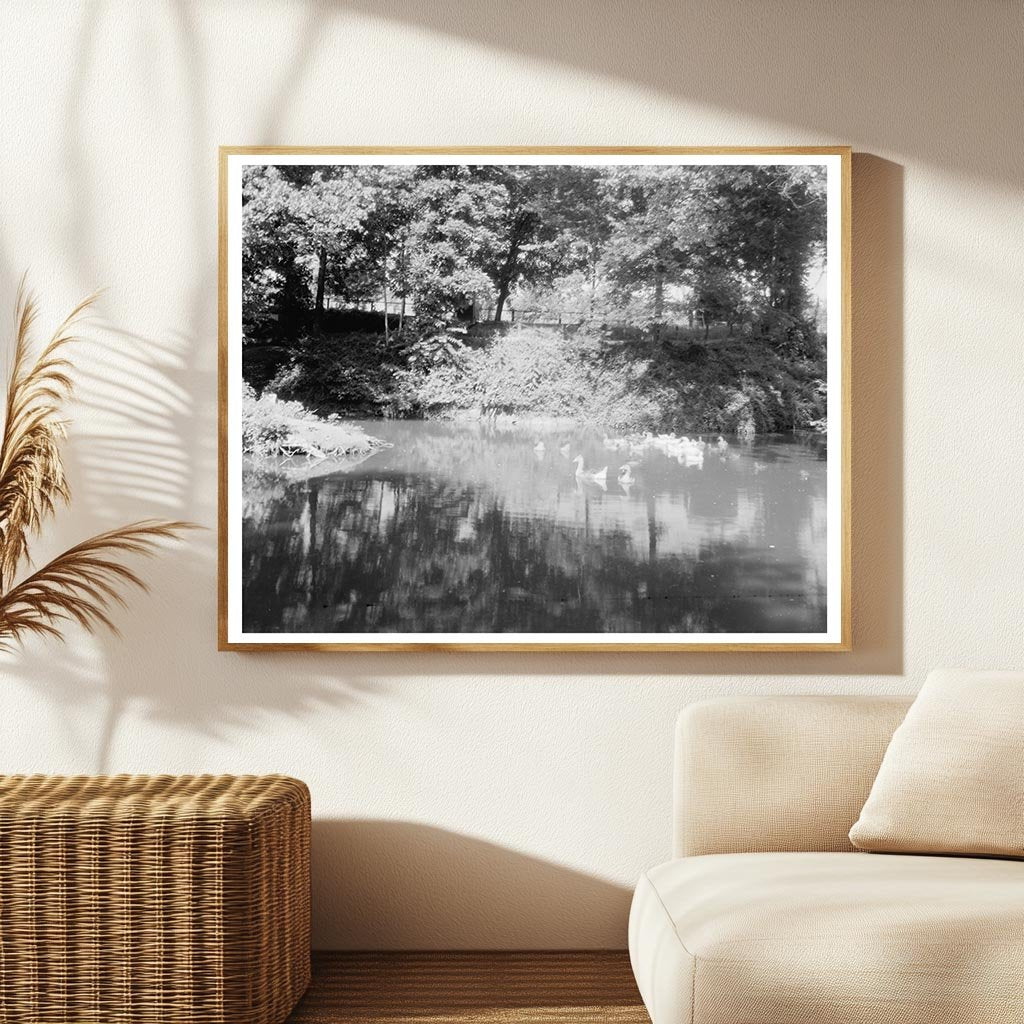 Chatham Estate, Stafford County VA, Early 1900s Photo