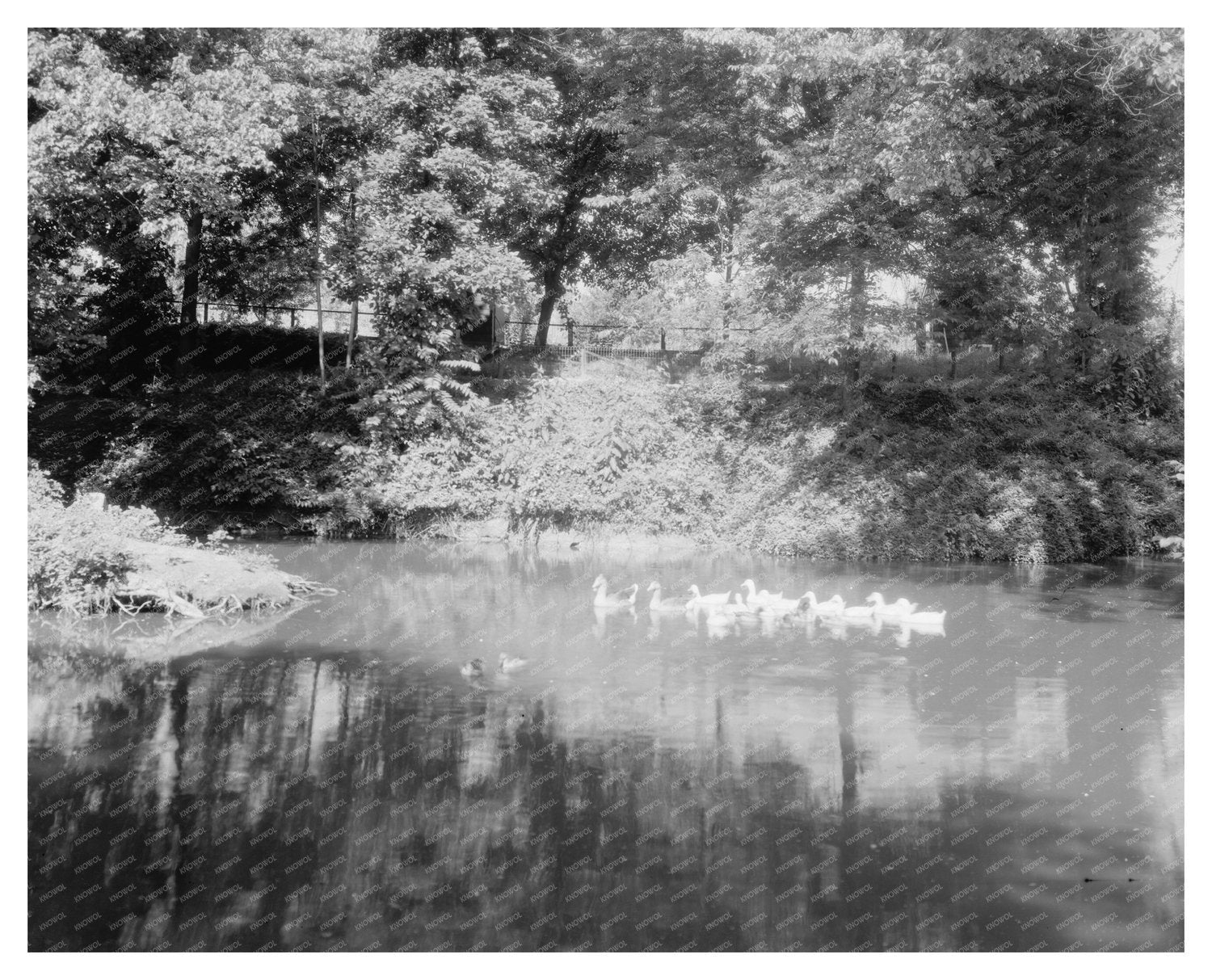 Fredericksburg Estate, Virginia 20th Century Vintage Photo