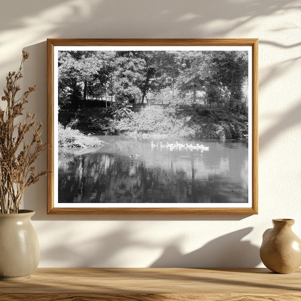 Fredericksburg Estate, Virginia 20th Century Vintage Photo