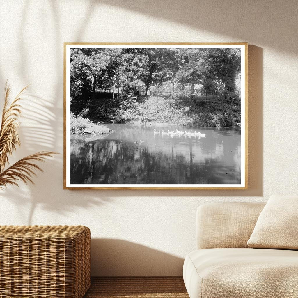 Fredericksburg Estate, Virginia 20th Century Vintage Photo