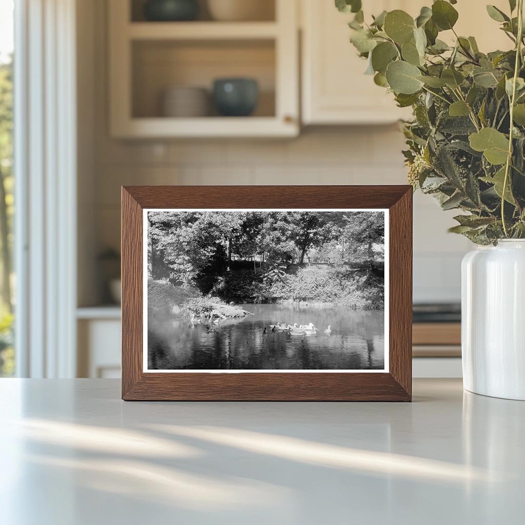 Fredericksburg VA Estate Photograph 1900s