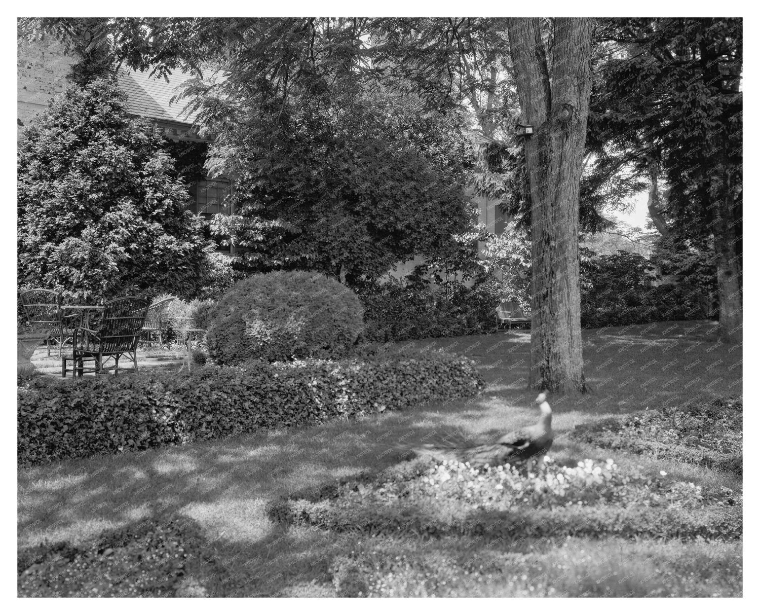 1910 Estate Restoration in Fredericksburg, Virginia