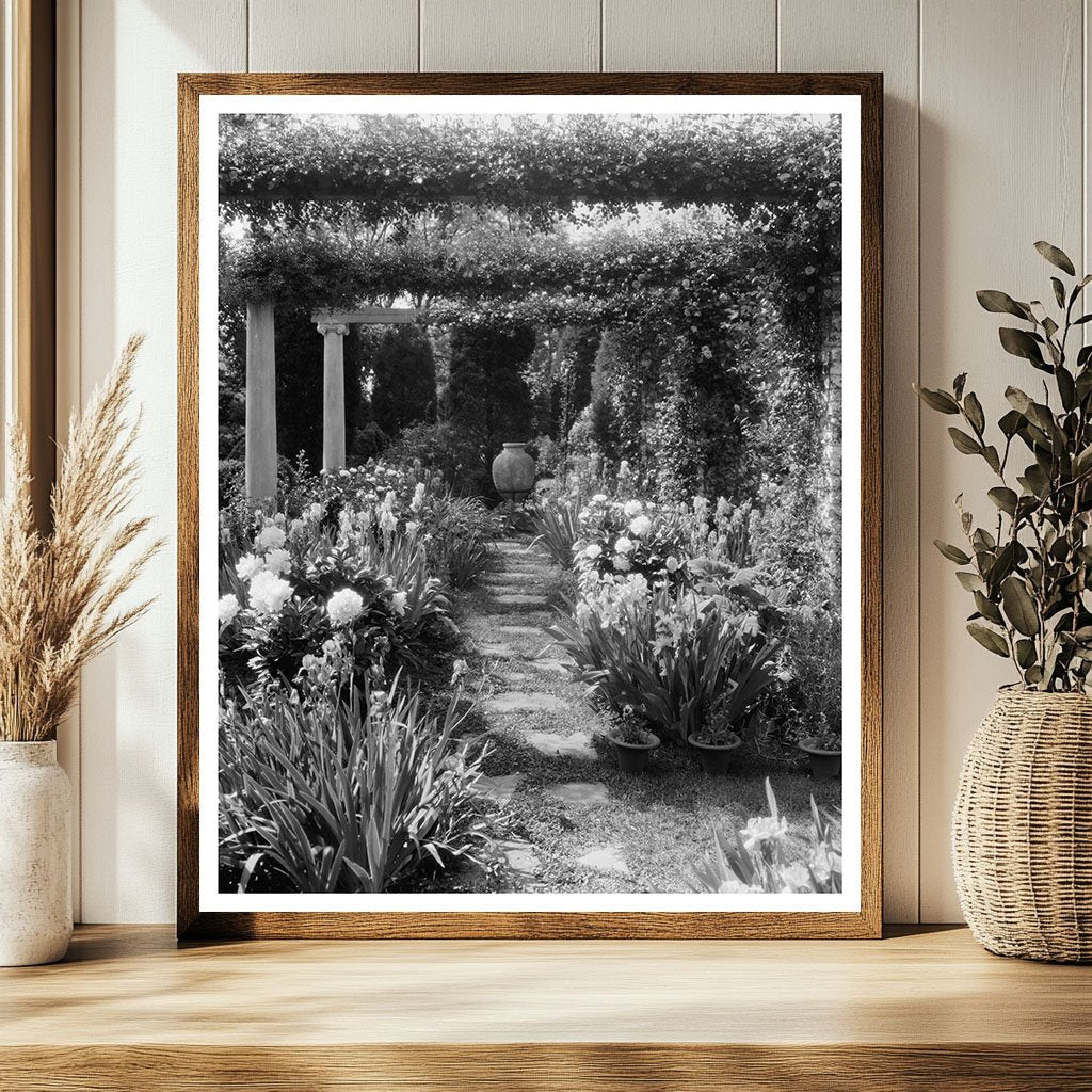 Fredericksburg VA Estate Restoration Vintage Photo 1910s