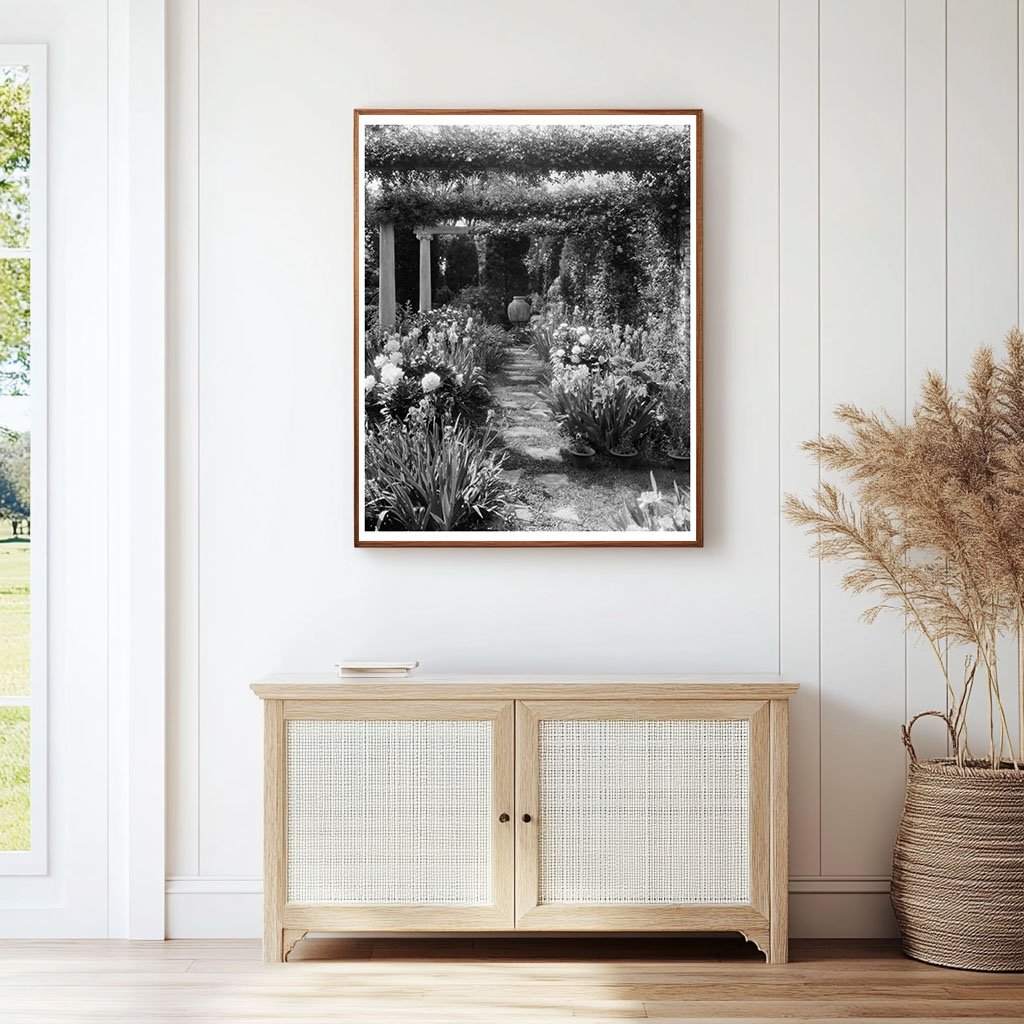 Fredericksburg VA Estate Restoration Vintage Photo 1910s