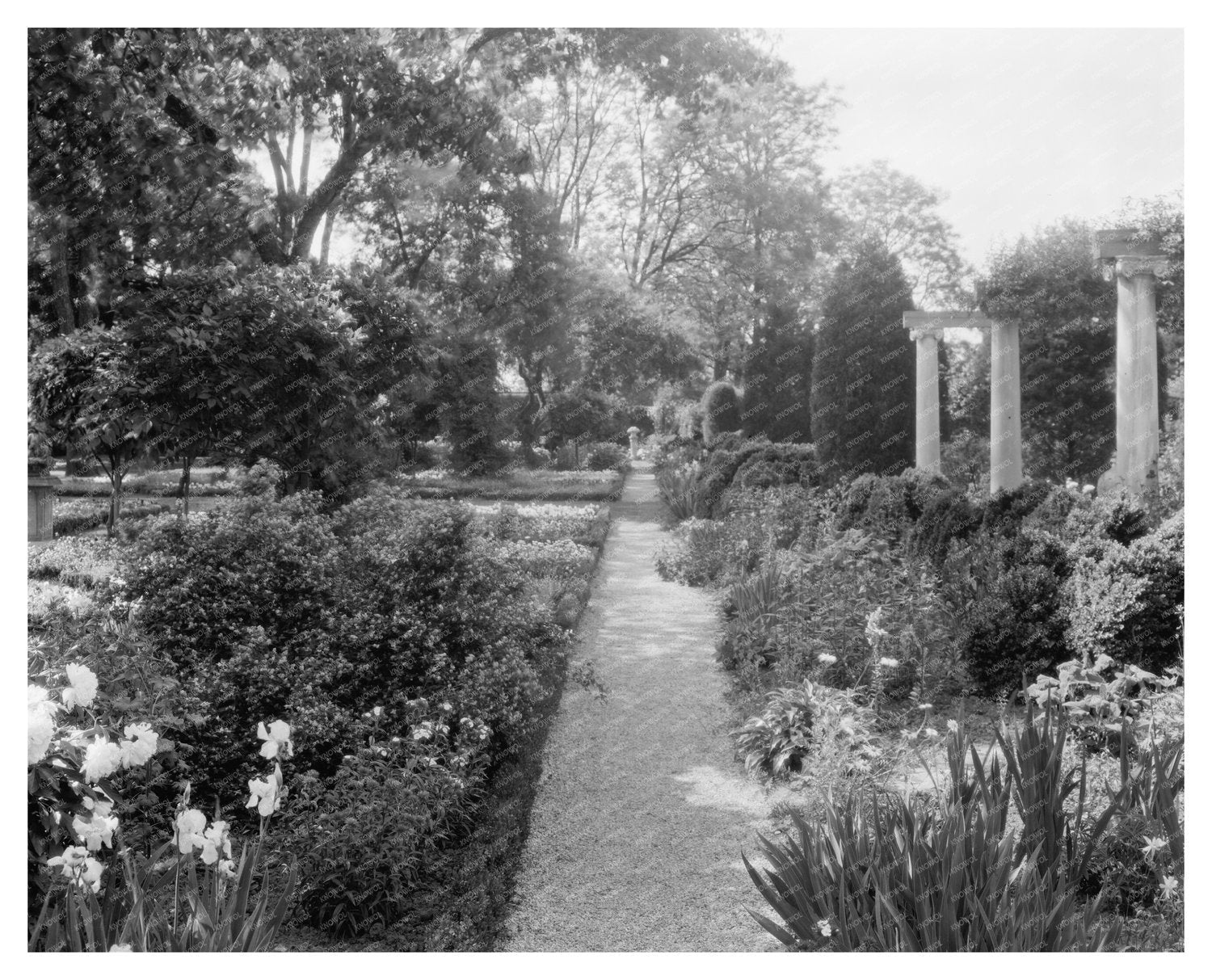 Stafford County VA Estate Restoration 20th Century Image