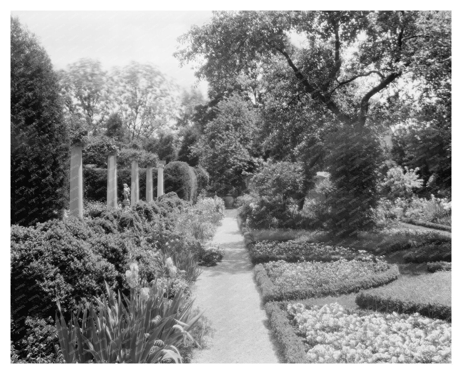 Mrs. Devores Estate, Fredericksburg VA, 1900s Photo