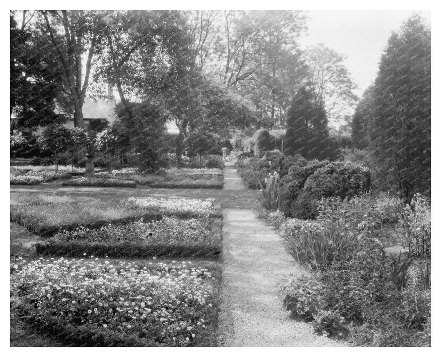 Fredericksburg VA Estate Restoration Photo, 1900