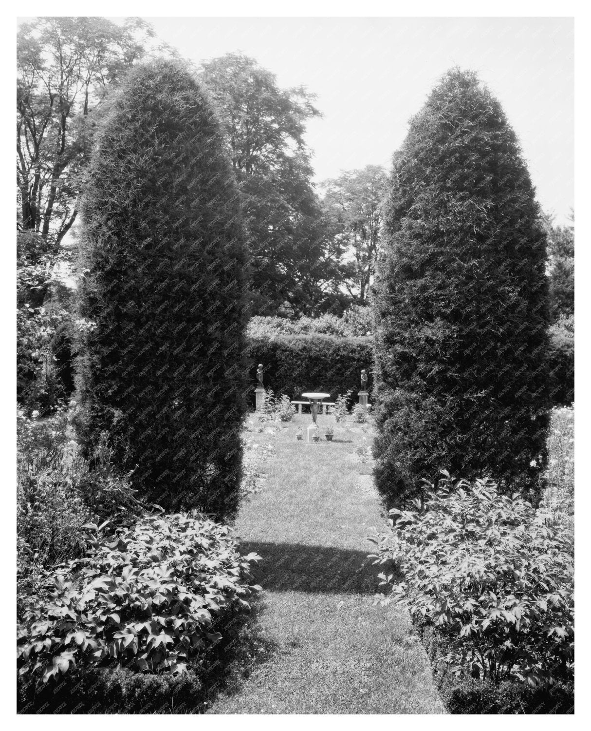Fredericksburg VA Estate Restoration Photo 1930s