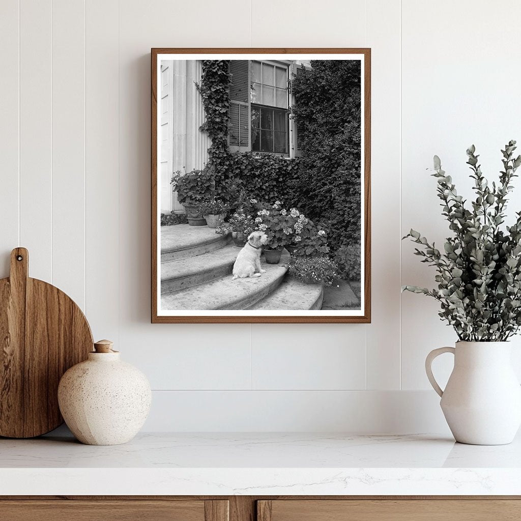 Vintage Architecture Photo, Fredericksburg, VA 20th Century