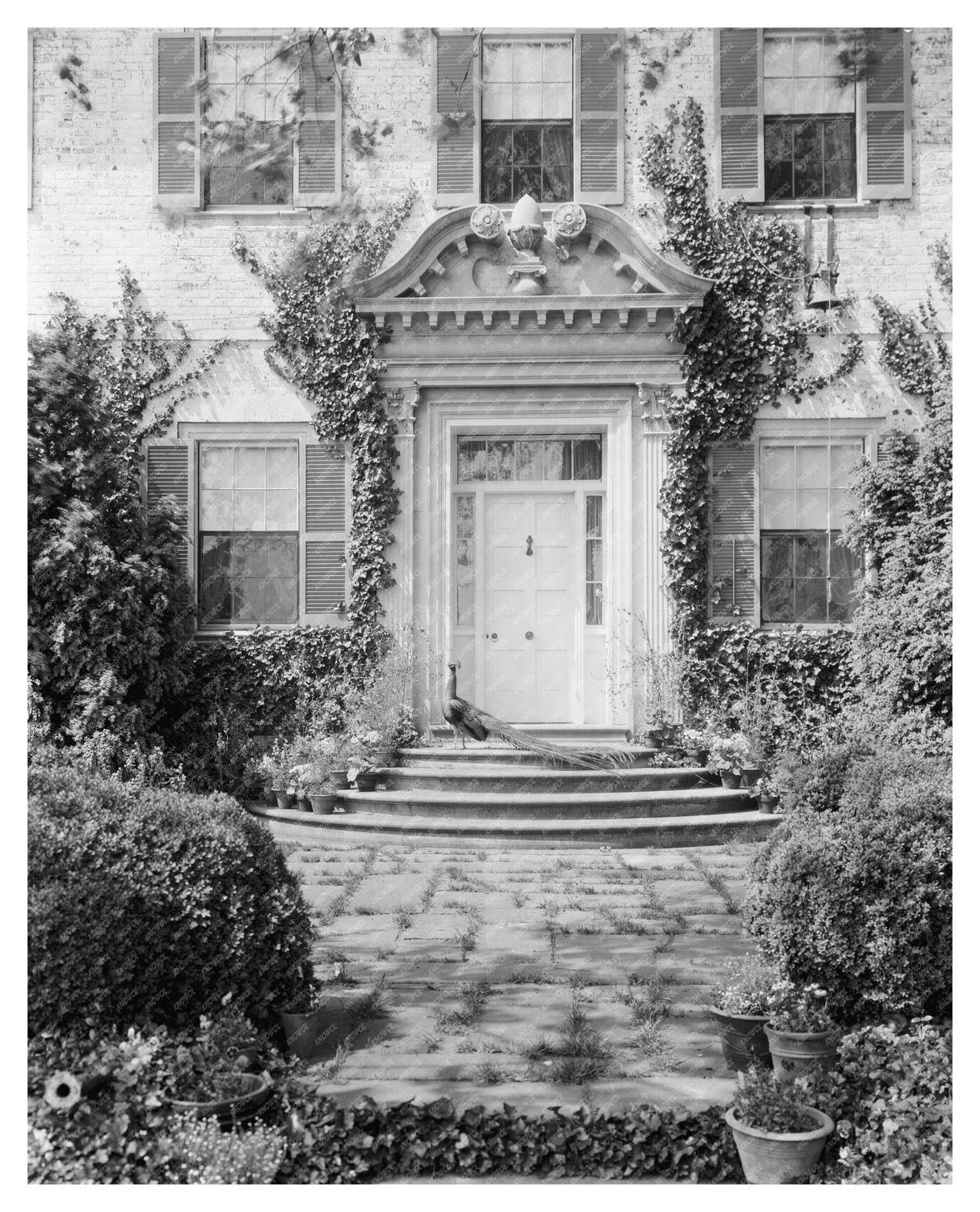 Historic Estate in Fredericksburg, VA - Early 20th Century