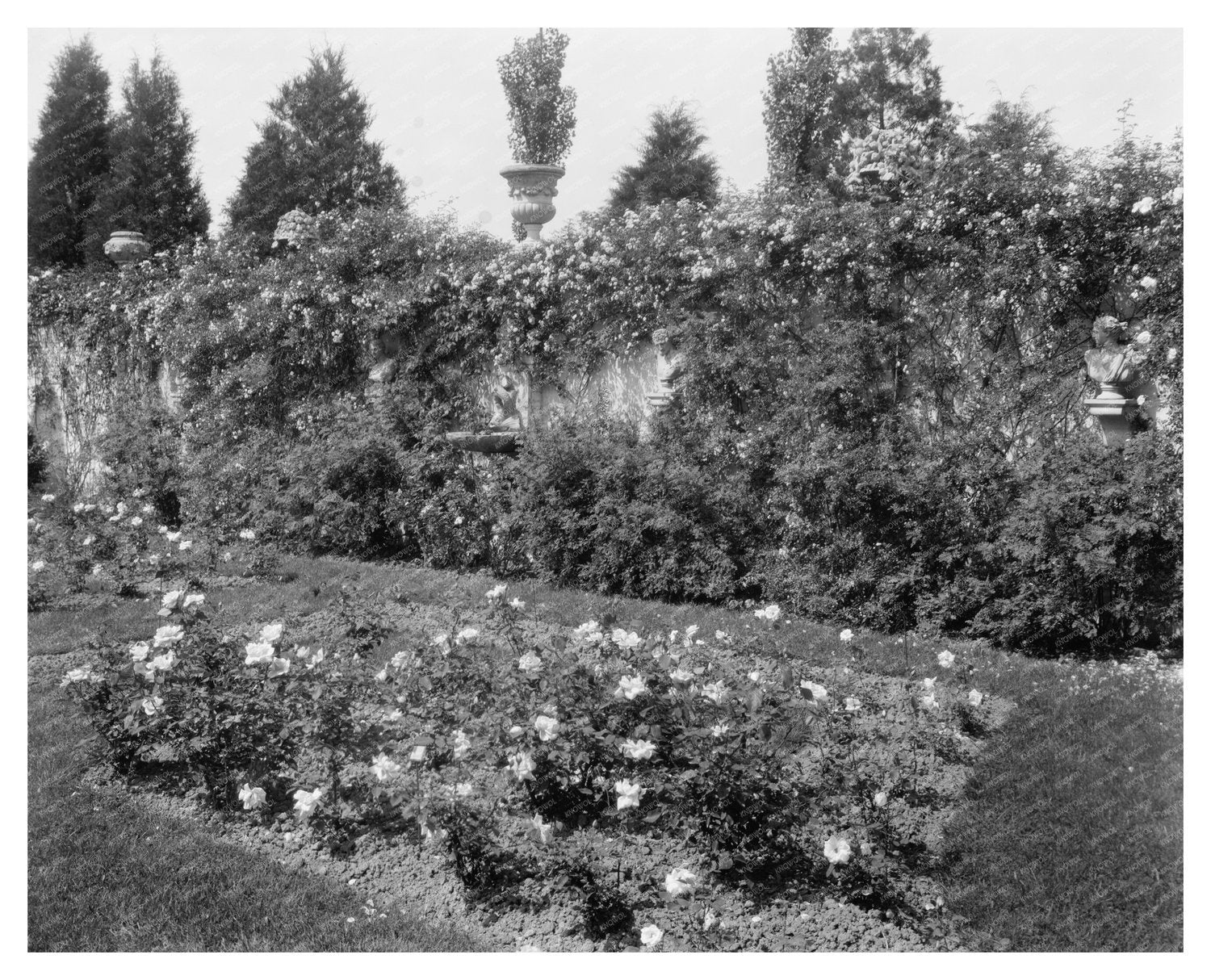 Fredericksburg VA Estate Restoration Photo 1900s