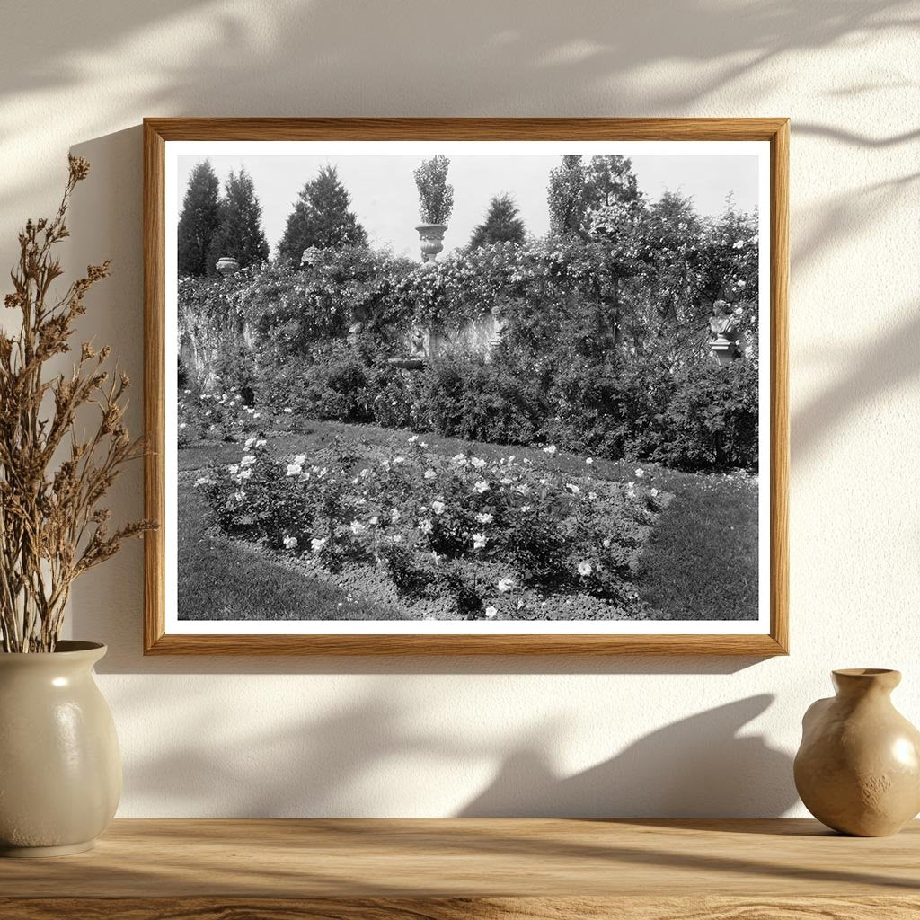 Fredericksburg VA Estate Restoration Photo 1900s