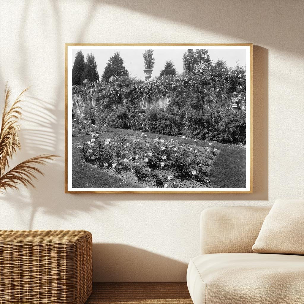 Fredericksburg VA Estate Restoration Photo 1900s