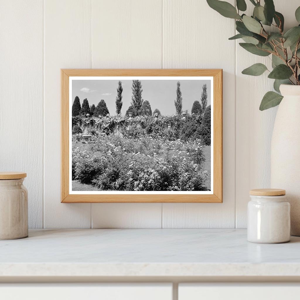 Chatham Estate Restoration, Fredericksburg VA, 1953