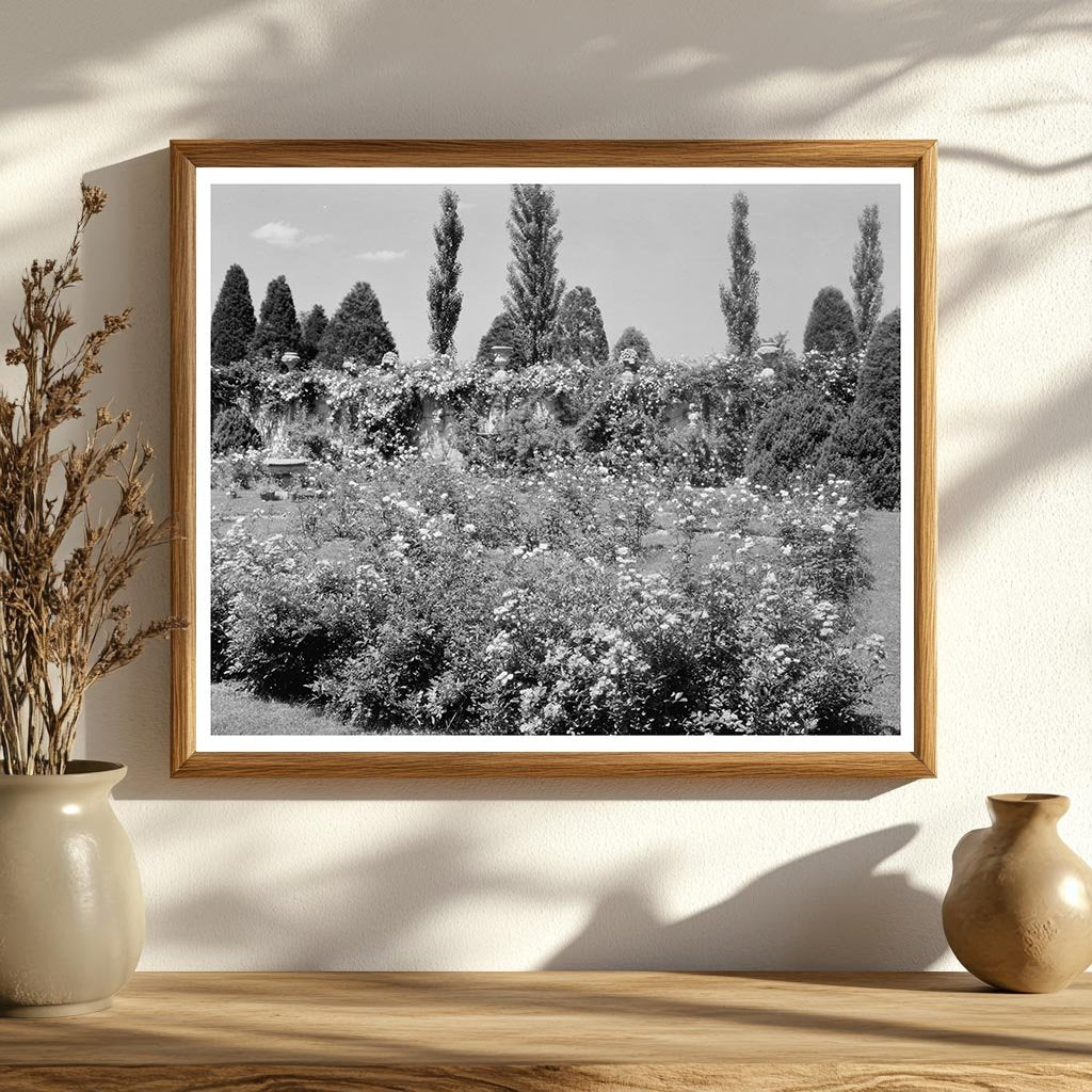 Chatham Estate Restoration, Fredericksburg VA, 1953