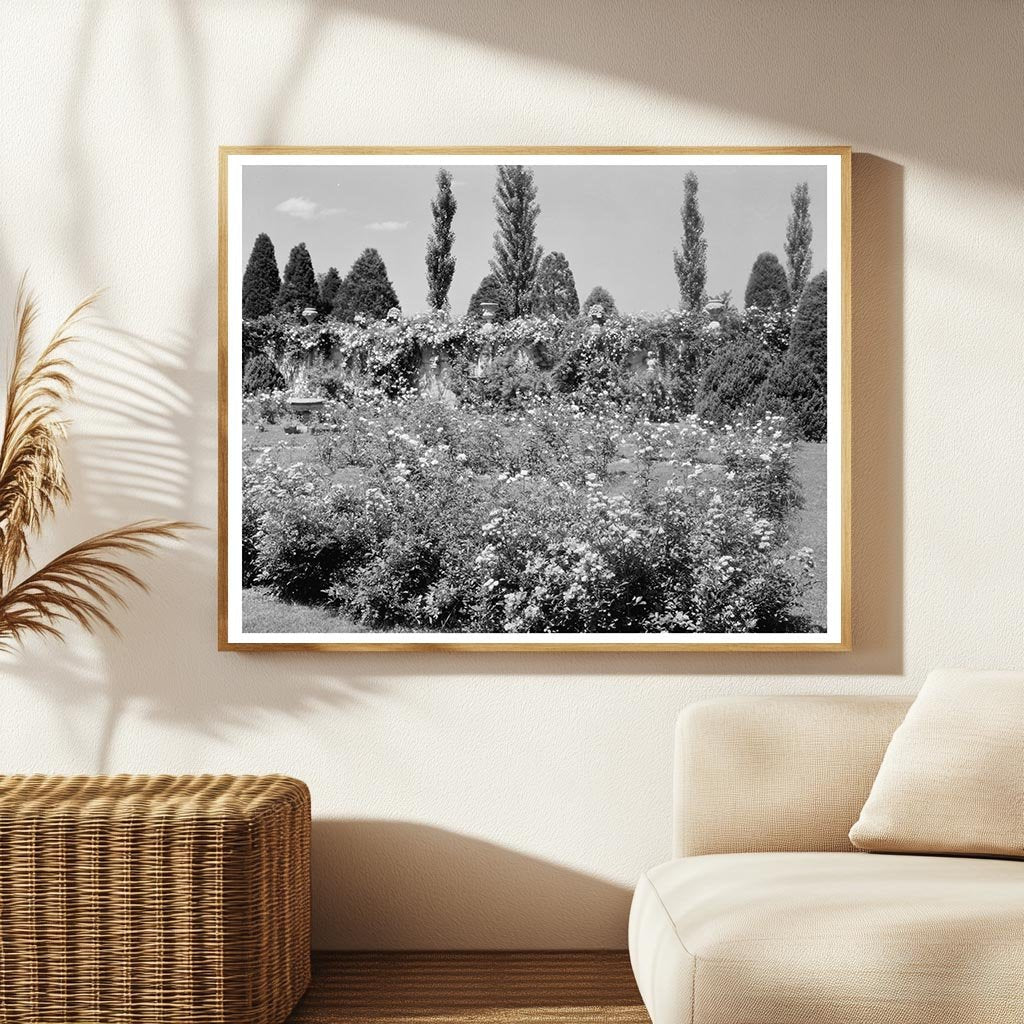 Chatham Estate Restoration, Fredericksburg VA, 1953