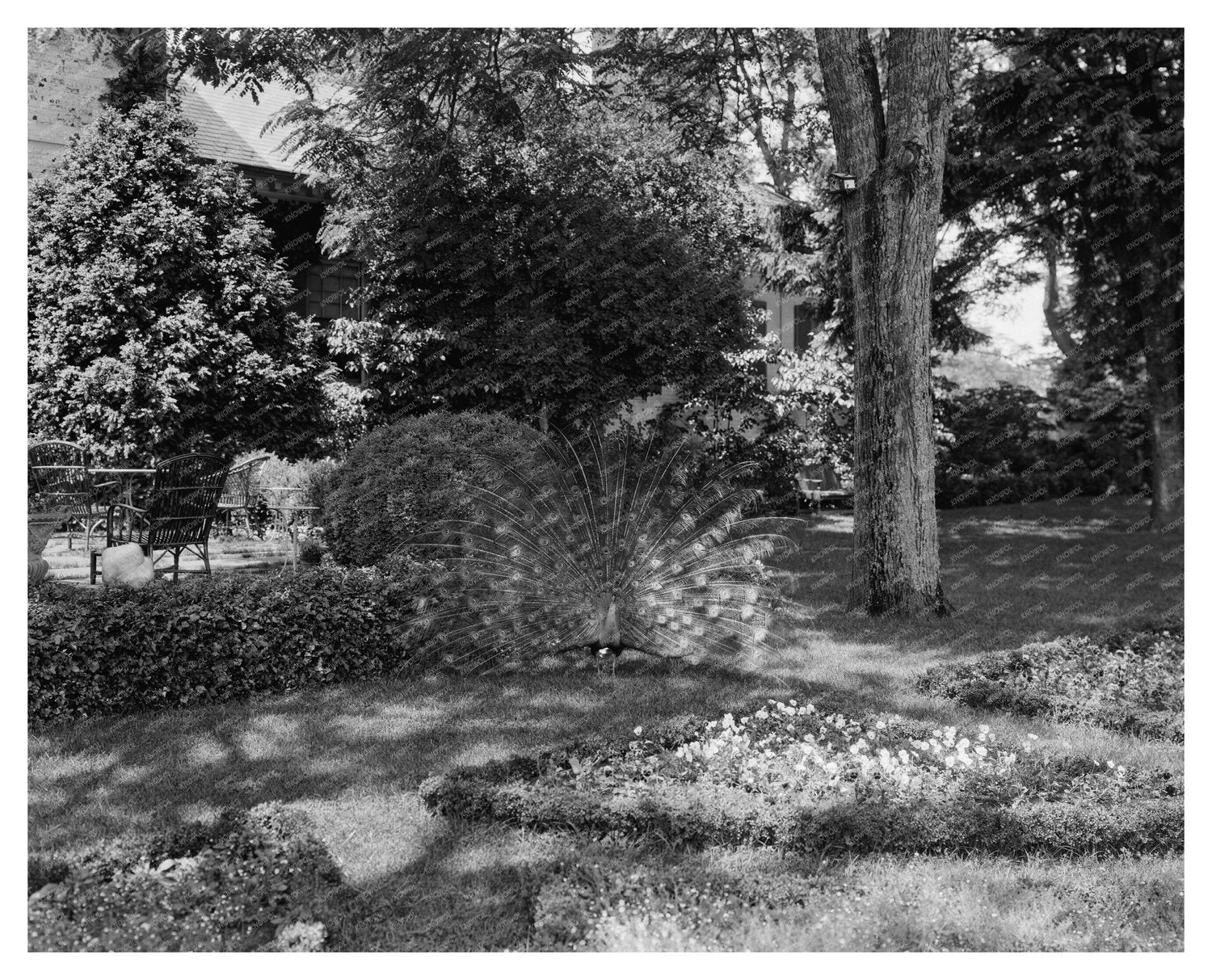 Historic Estate Restoration, Fredericksburg VA, Early 1900s
