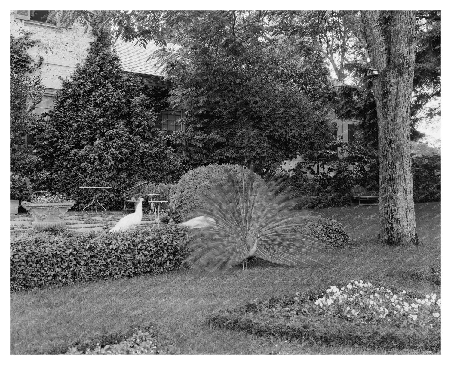 Vintage Estate Restoration in Fredericksburg, VA, 20th Centu
