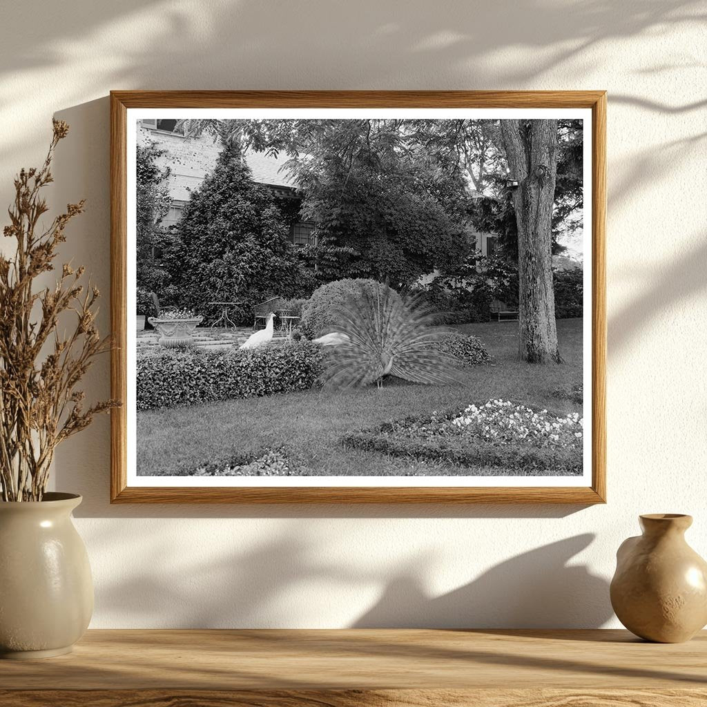 Vintage Estate Restoration in Fredericksburg, VA, 20th Centu