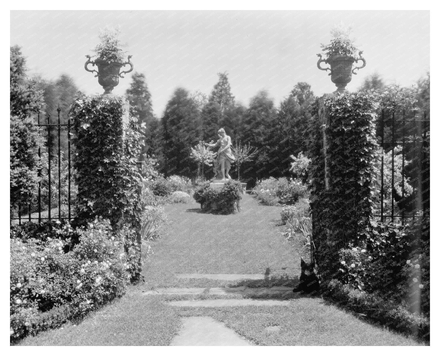 Fredericksburg VA Estate Restoration, 20th Century