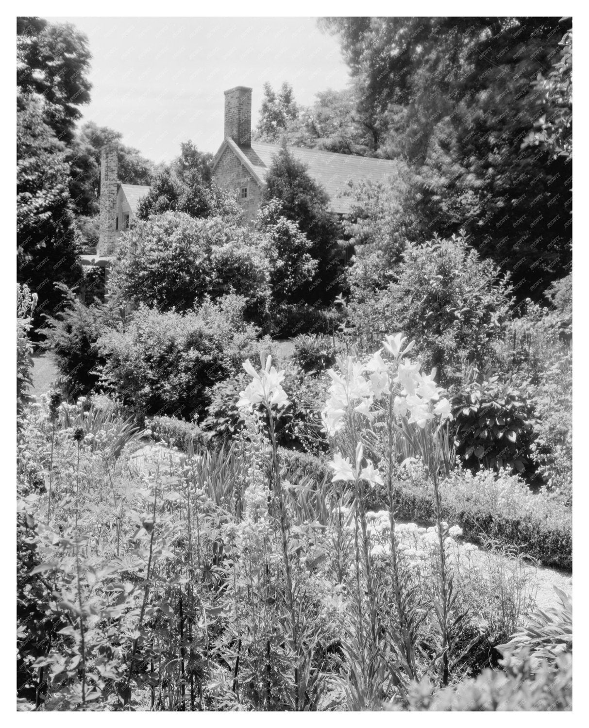 Restoration of Historic Estate, Fredericksburg VA, 20th Cent