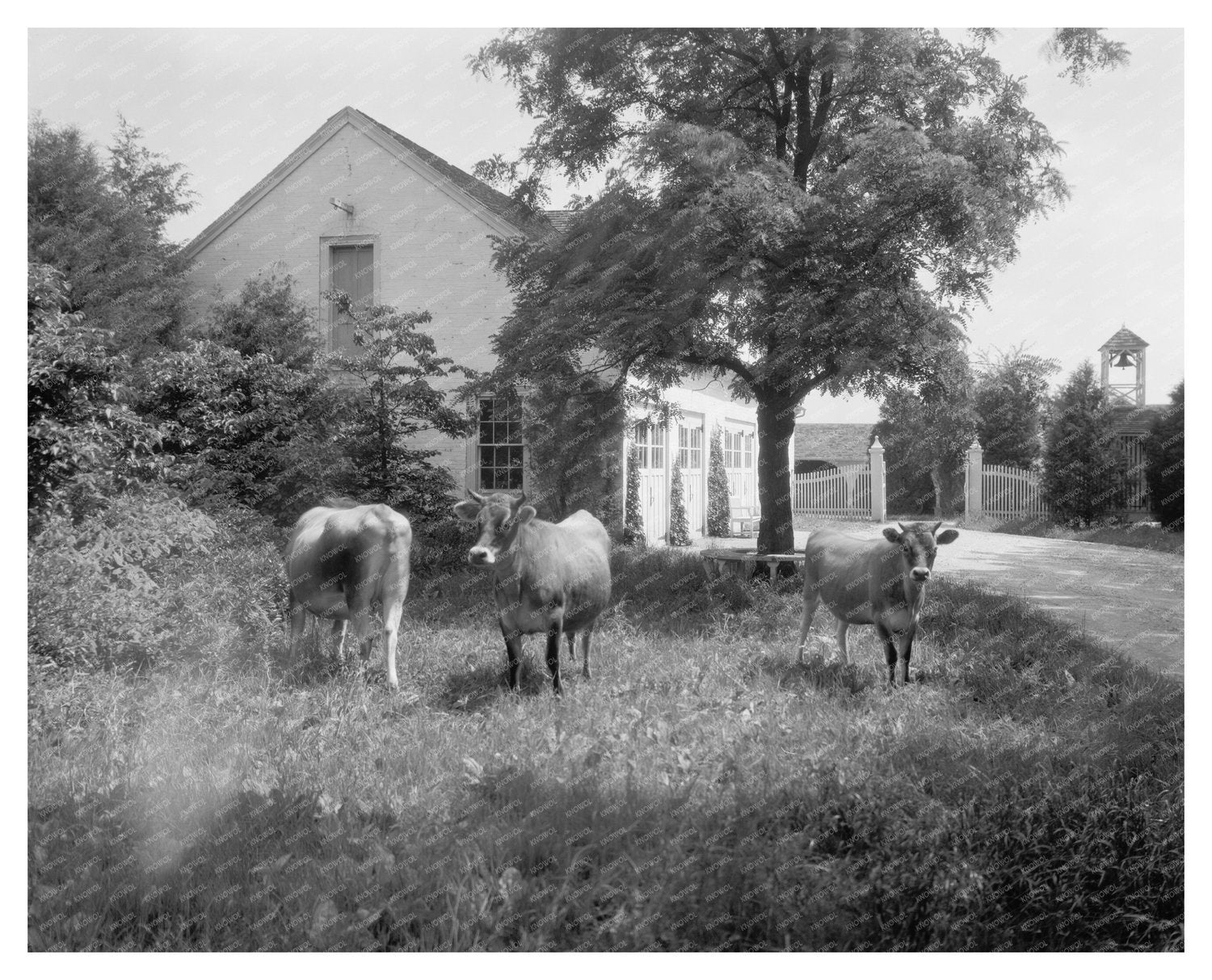 Chatham Estate Restoration, Fredericksburg VA, 1950s