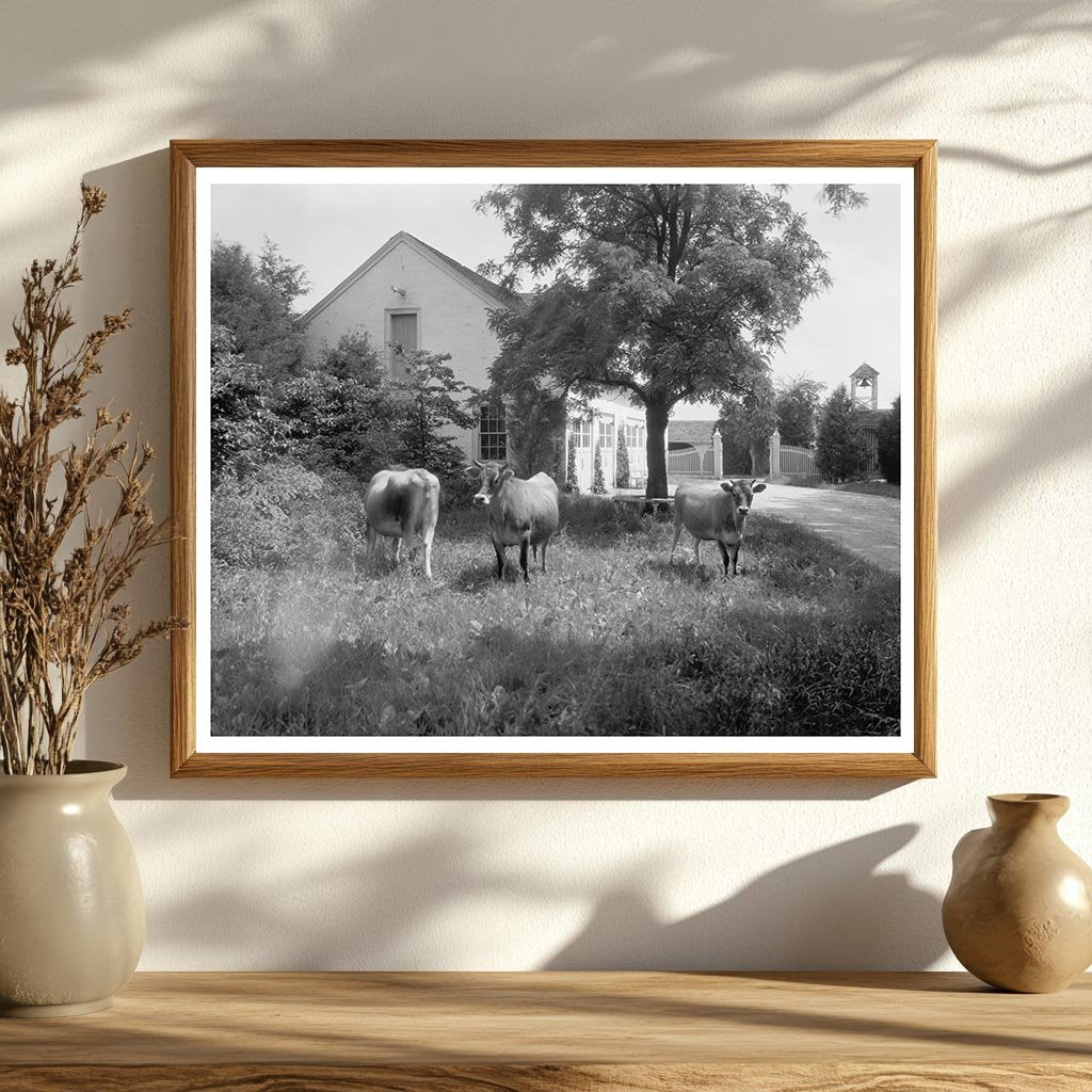 Chatham Estate Restoration, Fredericksburg VA, 1950s