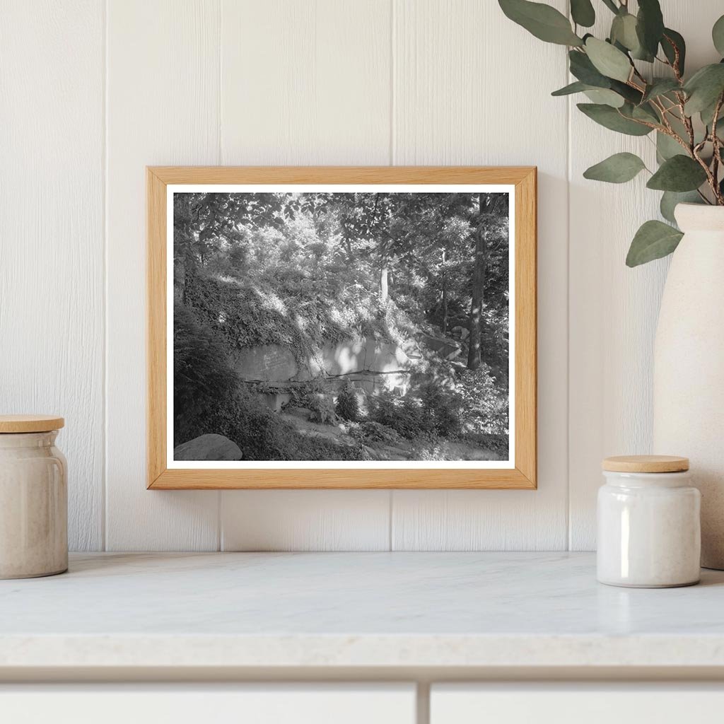 Richmond Virginia Estate Photo, Carnegie Survey 1953