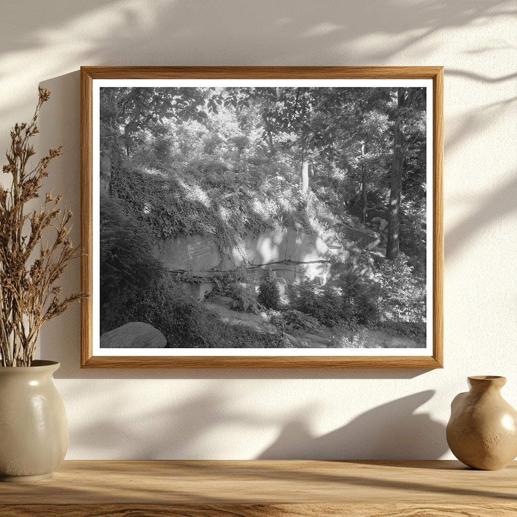 Richmond Virginia Estate Photo, Carnegie Survey 1953