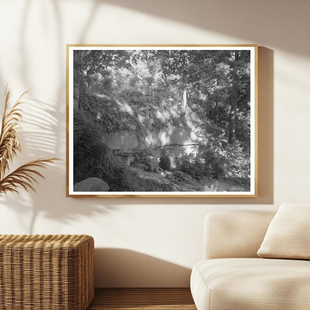 Richmond Virginia Estate Photo, Carnegie Survey 1953