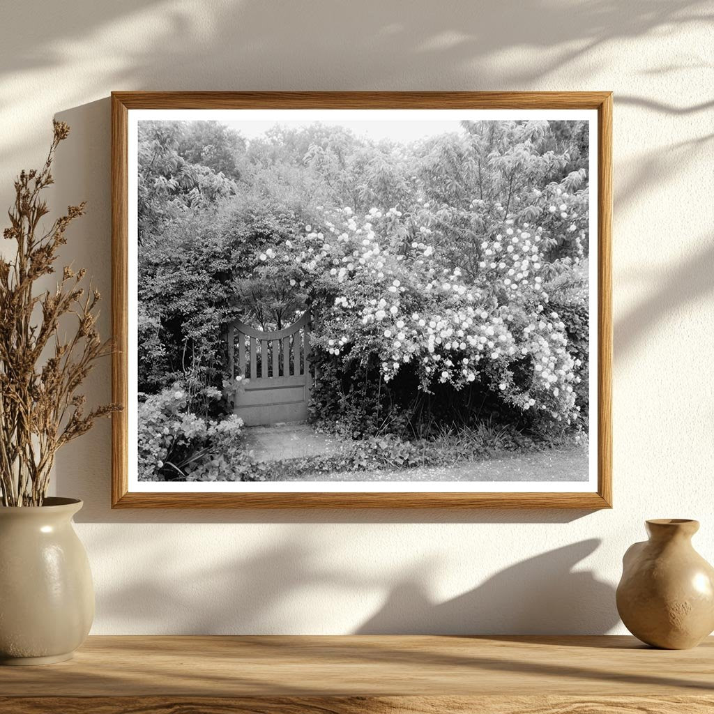 Richmond VA Historic Brick House Tract Photo, 1900s
