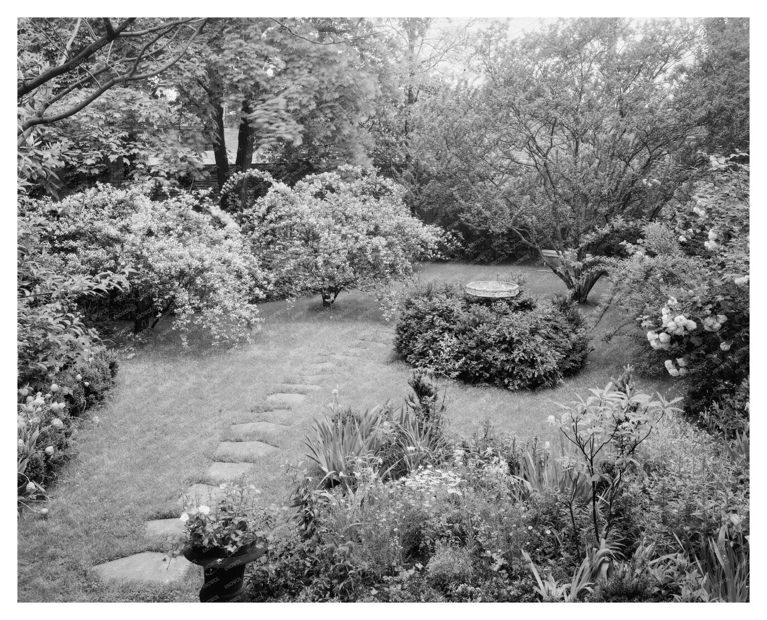Richmond VA Gardens 1953: Historic Photography Collection
