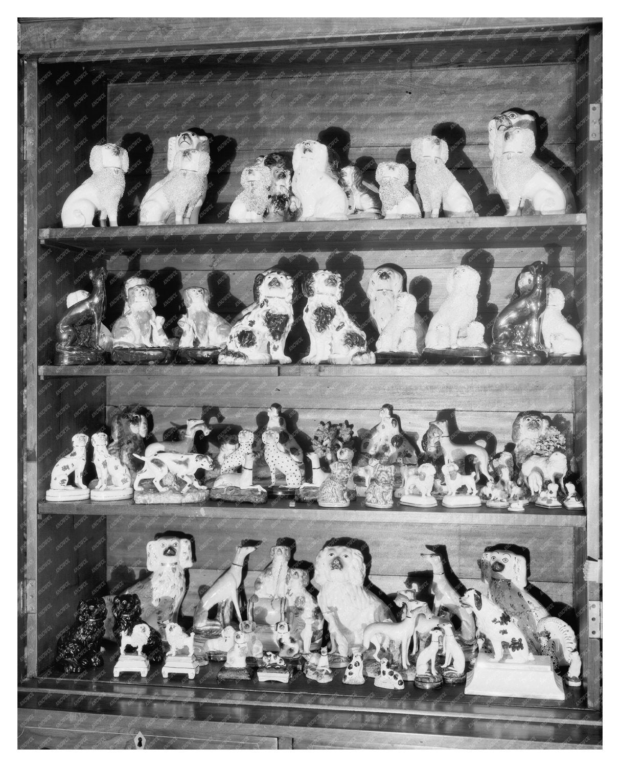 Richmond VA 1900s: Vintage Home Life Photograph