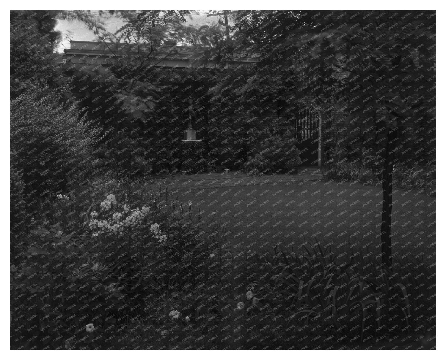 Richmond, Virginia Gardens: Early 20th Century Design