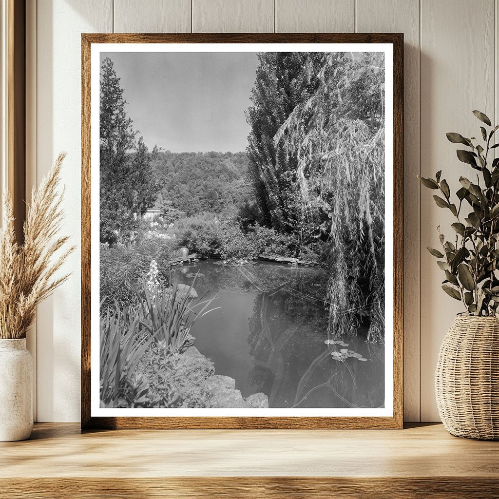 Henrico County, VA Vintage Photo from 1953 Architectural Sur