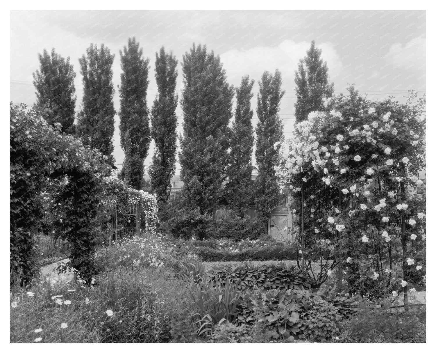 1910s Garden in Richmond, VA - Carnegie Survey Image