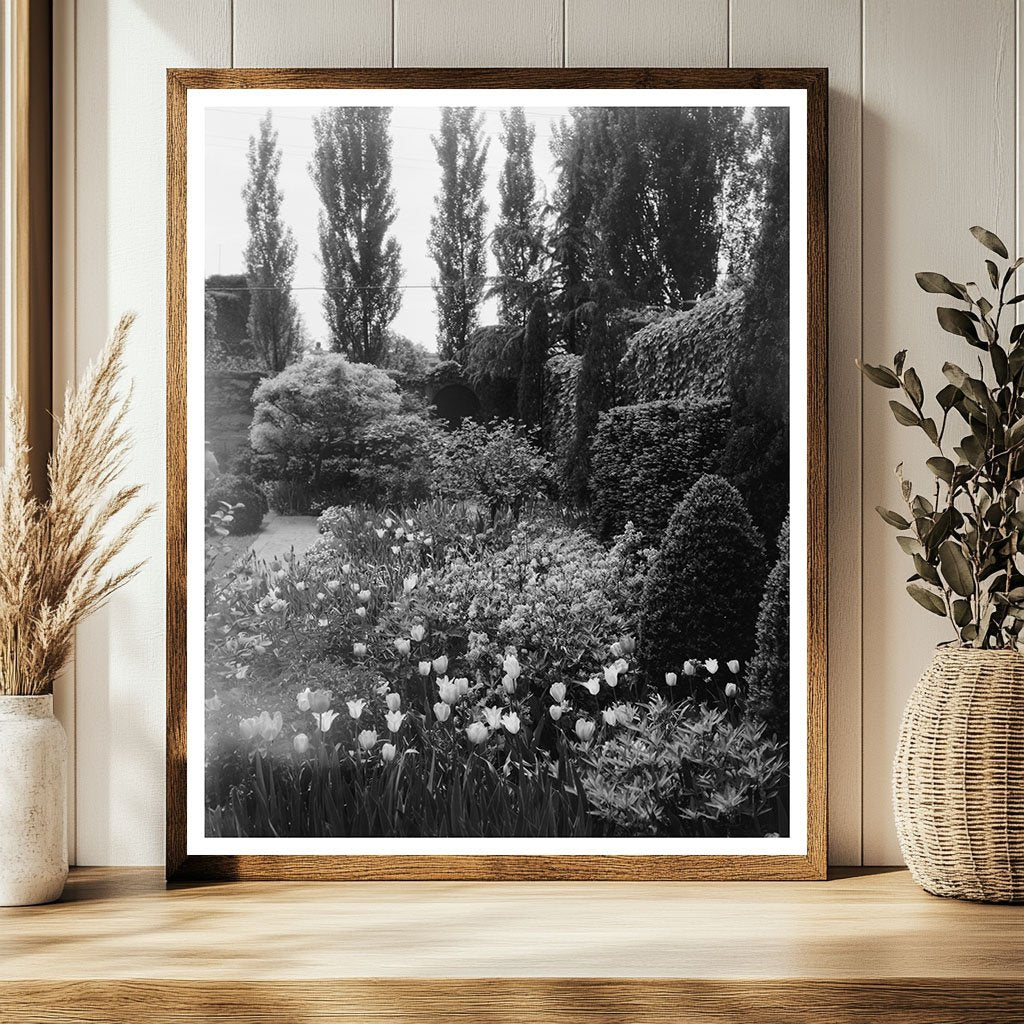 Vintage Garden Scene, Richmond VA 20th Century