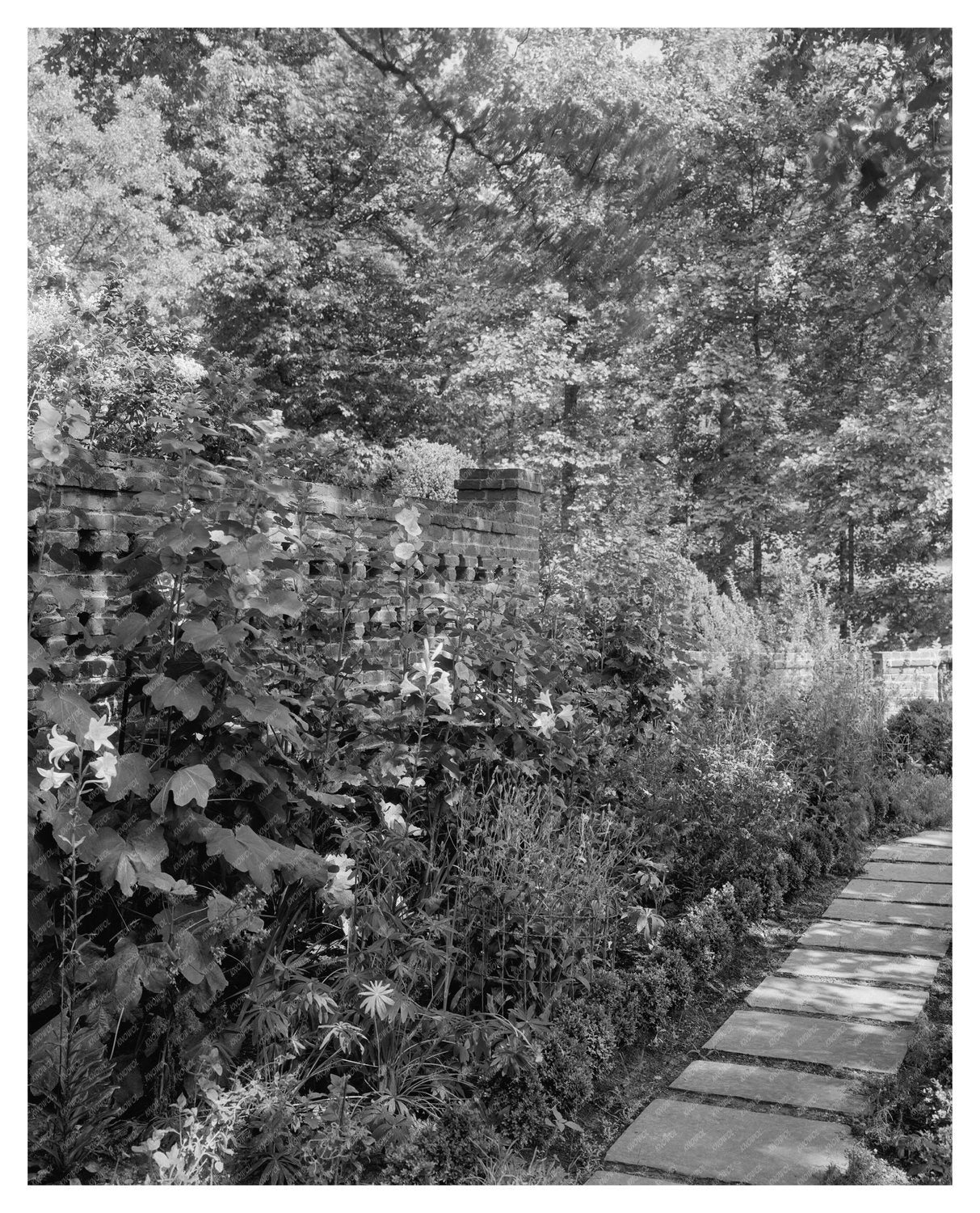 Richmond VA Gardens, Early 20th Century Architecture