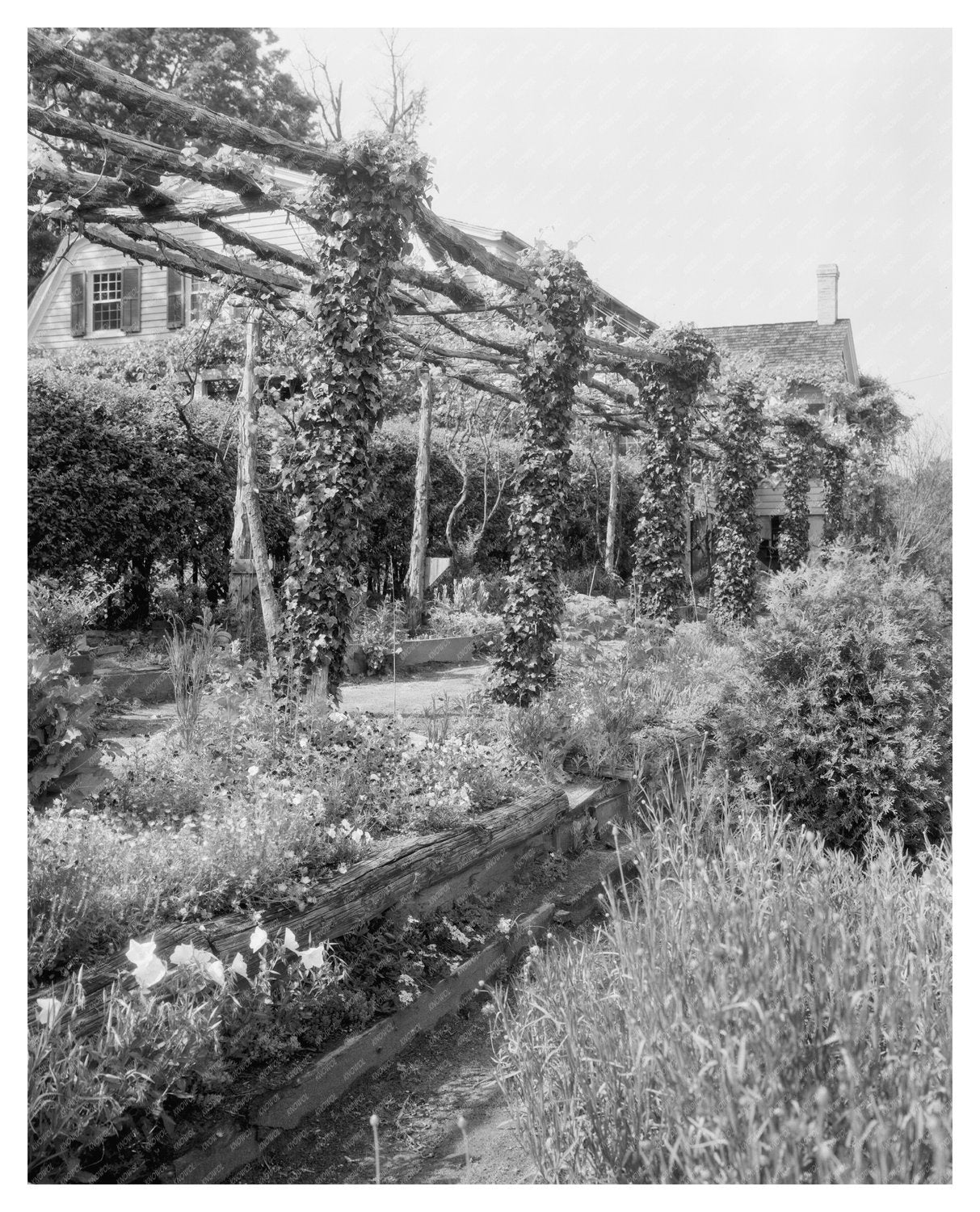 Vintage Garden Scene in Richmond, VA, Early 20th Century