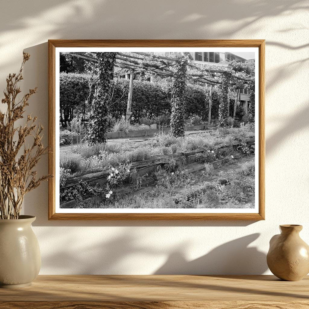 Henrico County Garden Scene, Richmond VA, Early 20th Century