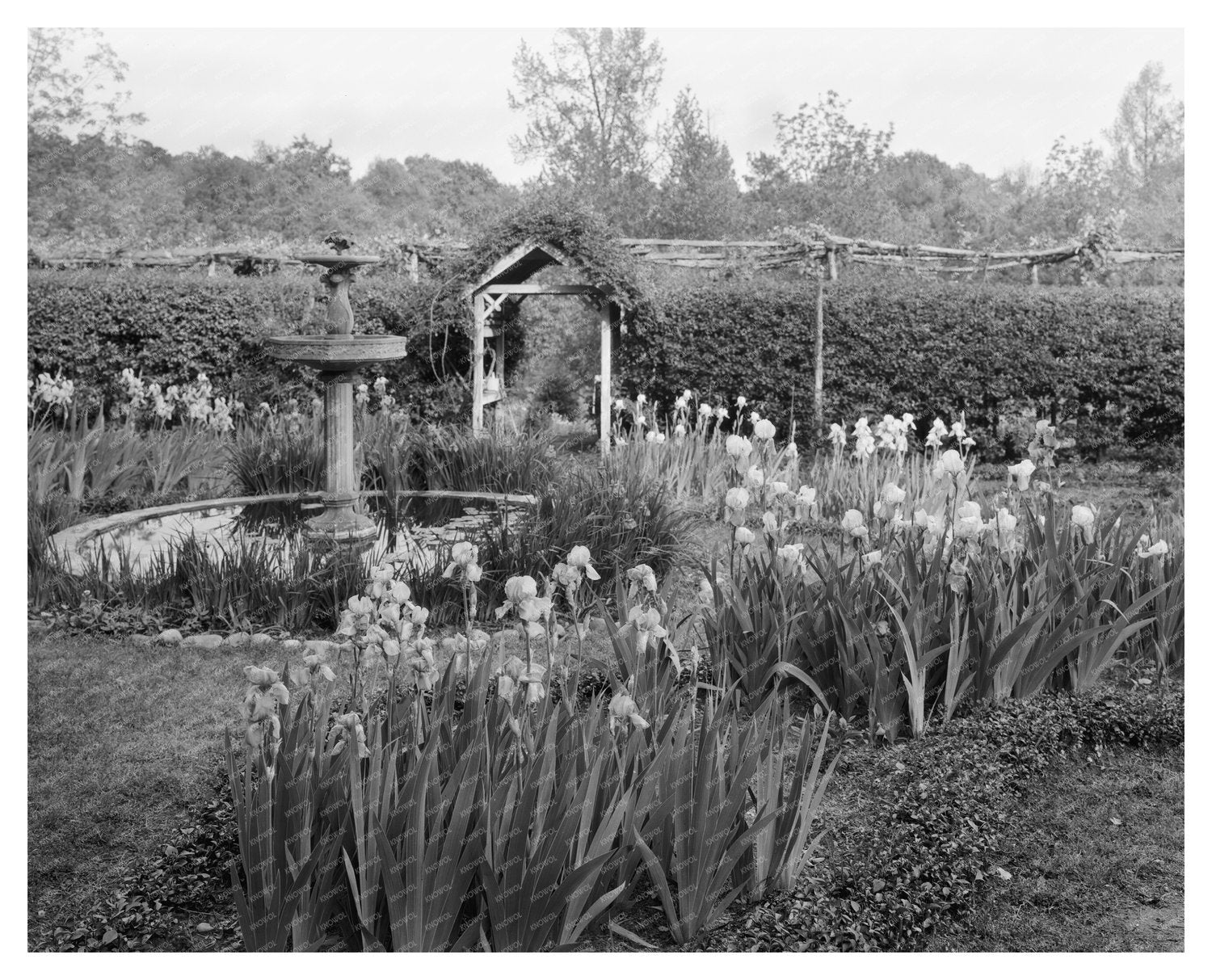 Vintage Garden Scene in Richmond, VA - 20th Century