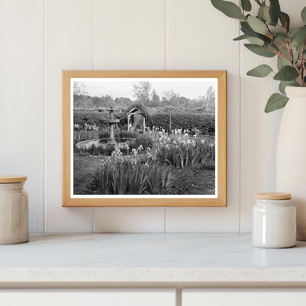 Vintage Garden Scene in Richmond, VA - 20th Century