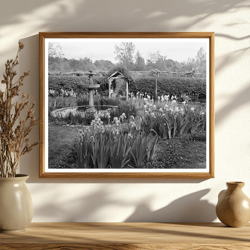 Vintage Garden Scene in Richmond, VA - 20th Century