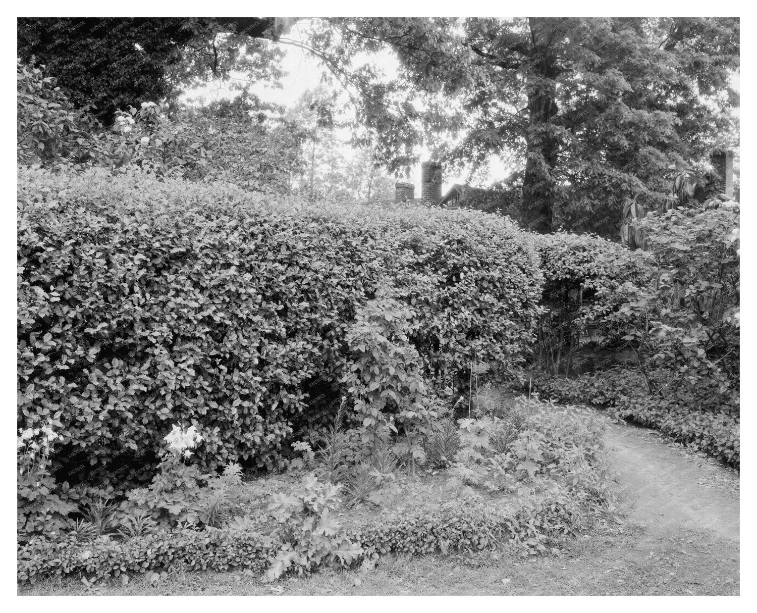 Vintage Garden Landscape in Richmond, VA - 20th Century