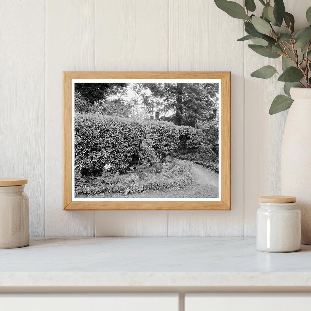 Vintage Garden Landscape in Richmond, VA - 20th Century