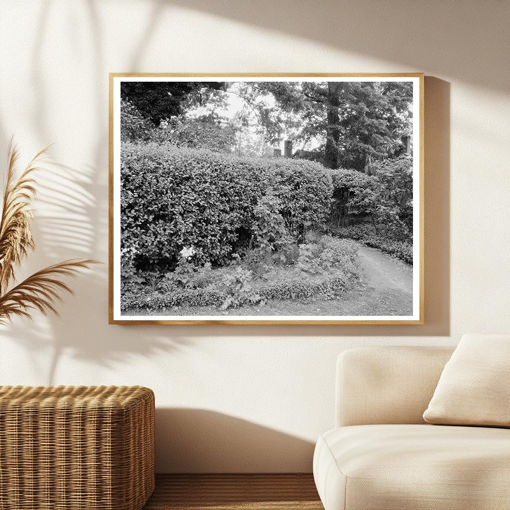 Vintage Garden Landscape in Richmond, VA - 20th Century