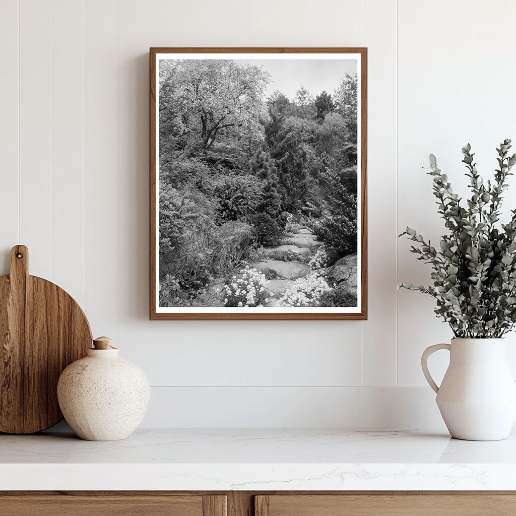 Boyce, Virginia Vintage Photograph from 1900s Carnegie Surve